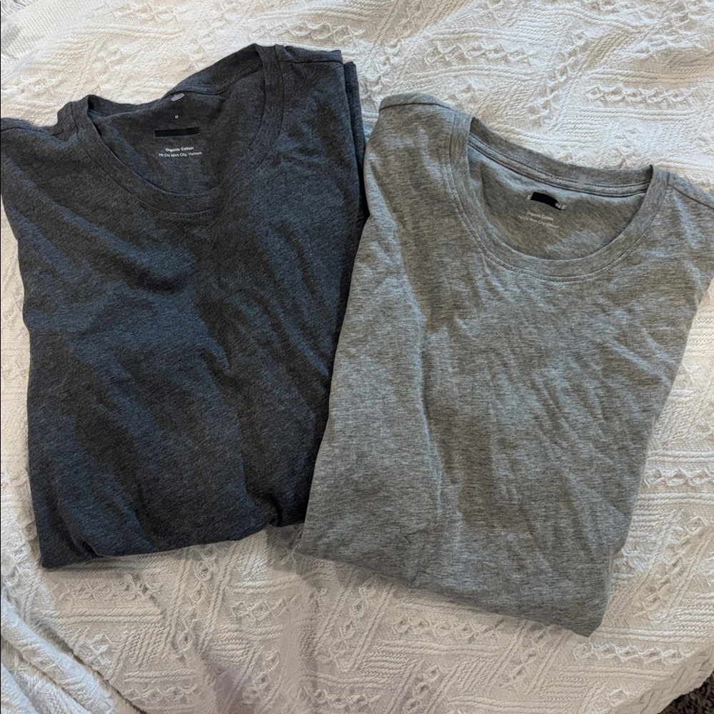 2 Everlane Slim Fit Crewneck Gray Short Sleeve Organic Cotton Tees, new